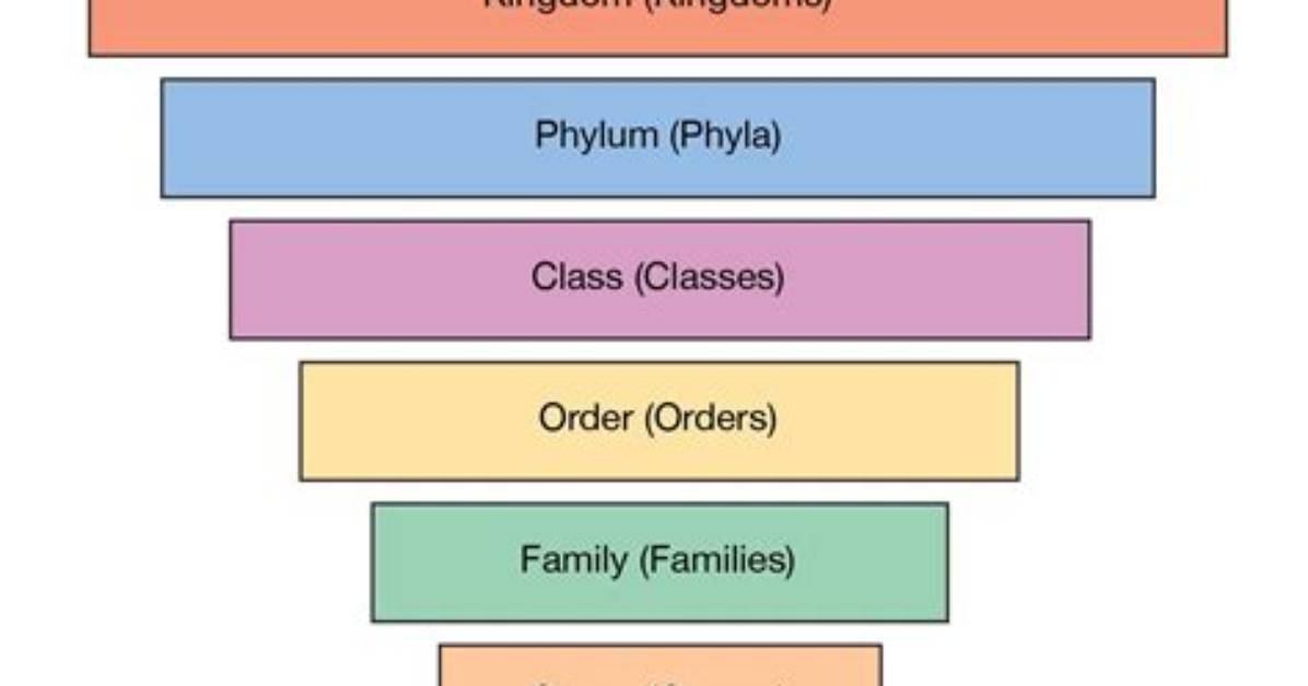 Does Taxonomic Group Mean?
