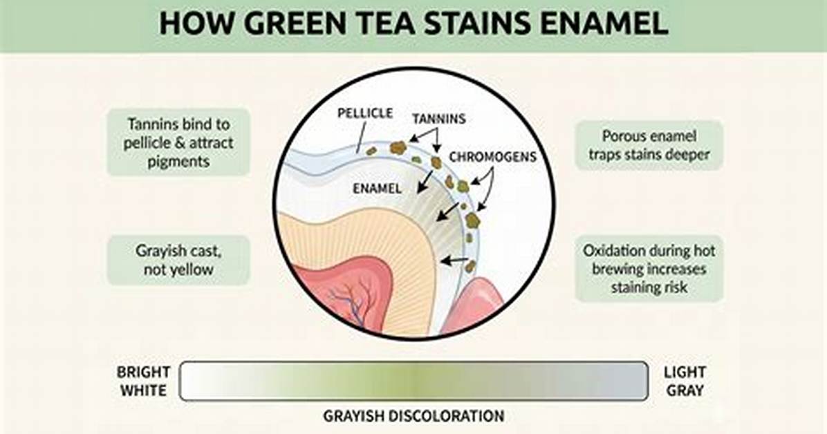 Does Tea Stain Your Insides?