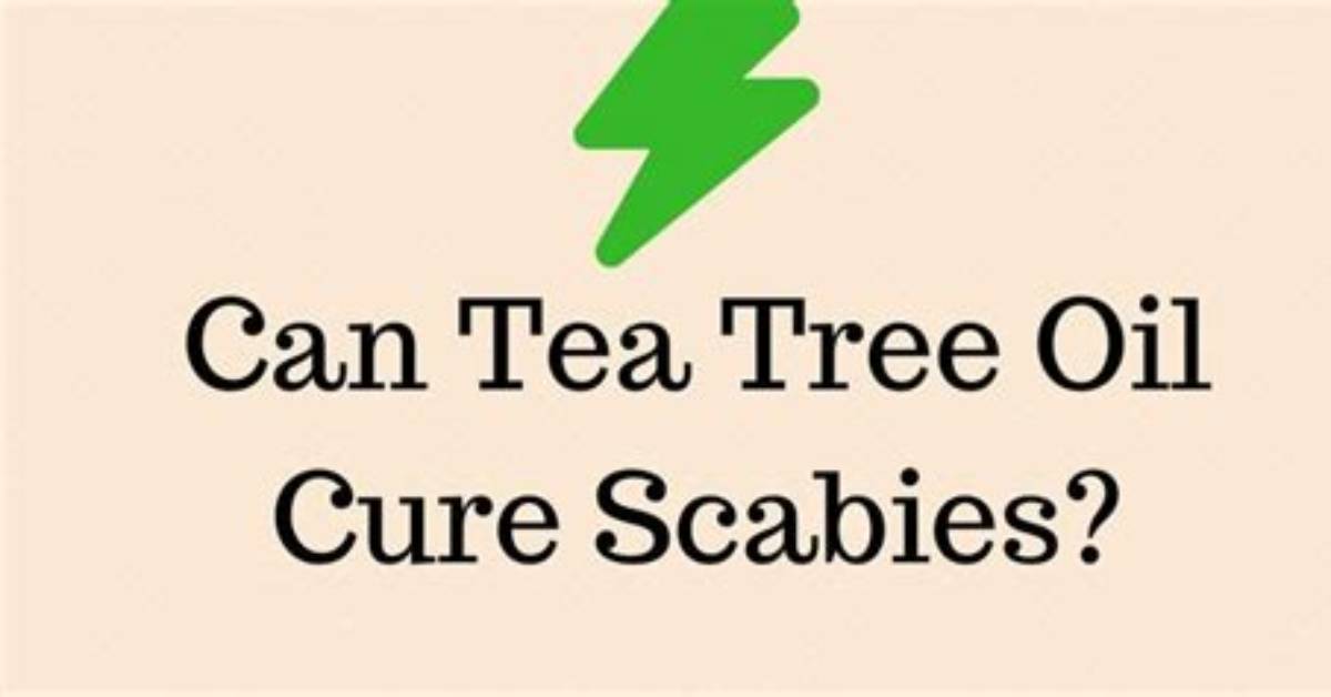 Does Tea Tree Oil Kill Scabies