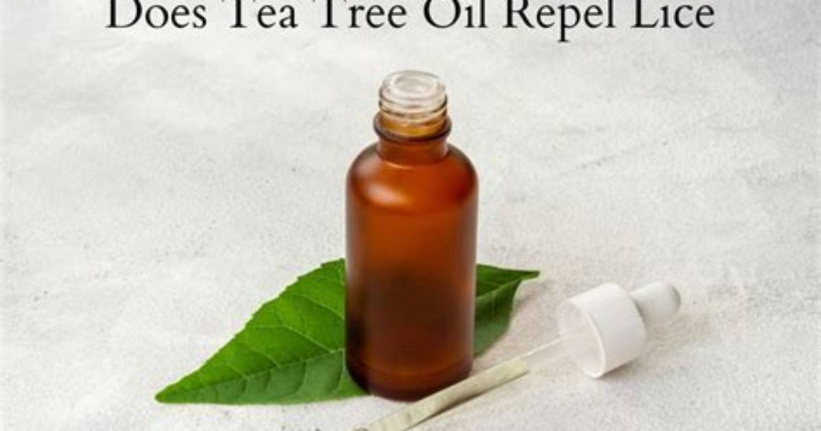 Does Tea Tree Oil Repel Flies
