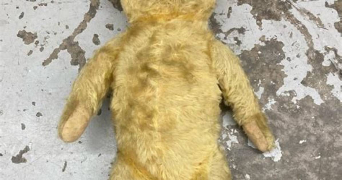 Does Teddy Come Back?