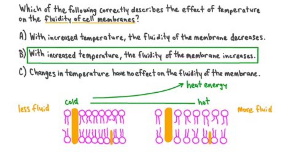 Does Temperature Affect Miscibility?