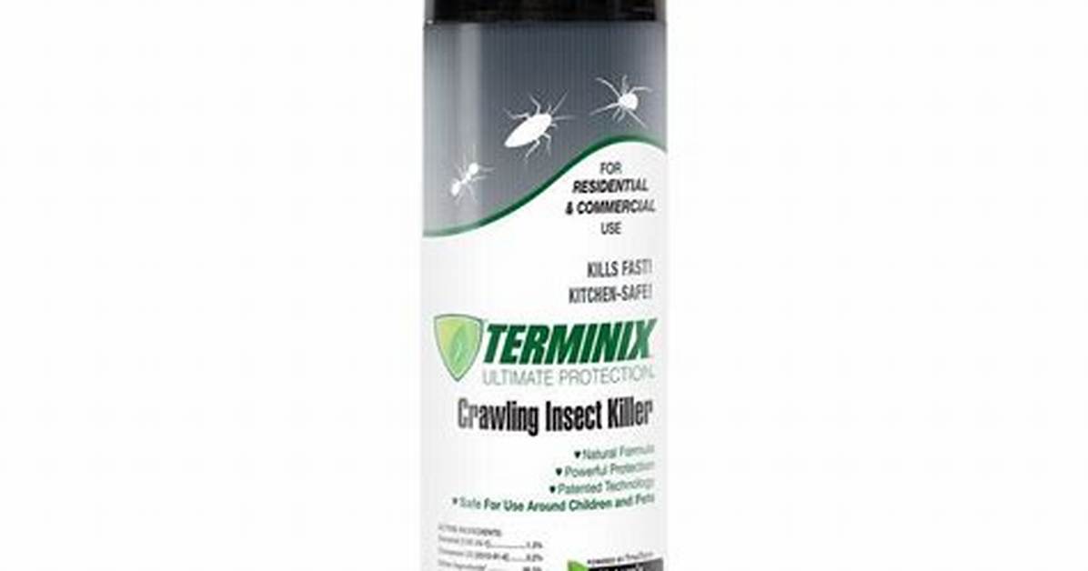 Does Terminix Spray for Spiders