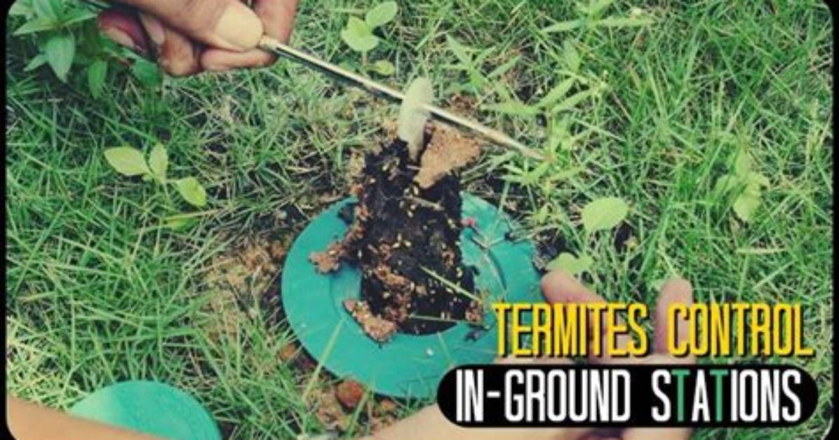 Does Terminix Termite Baiting System Work?