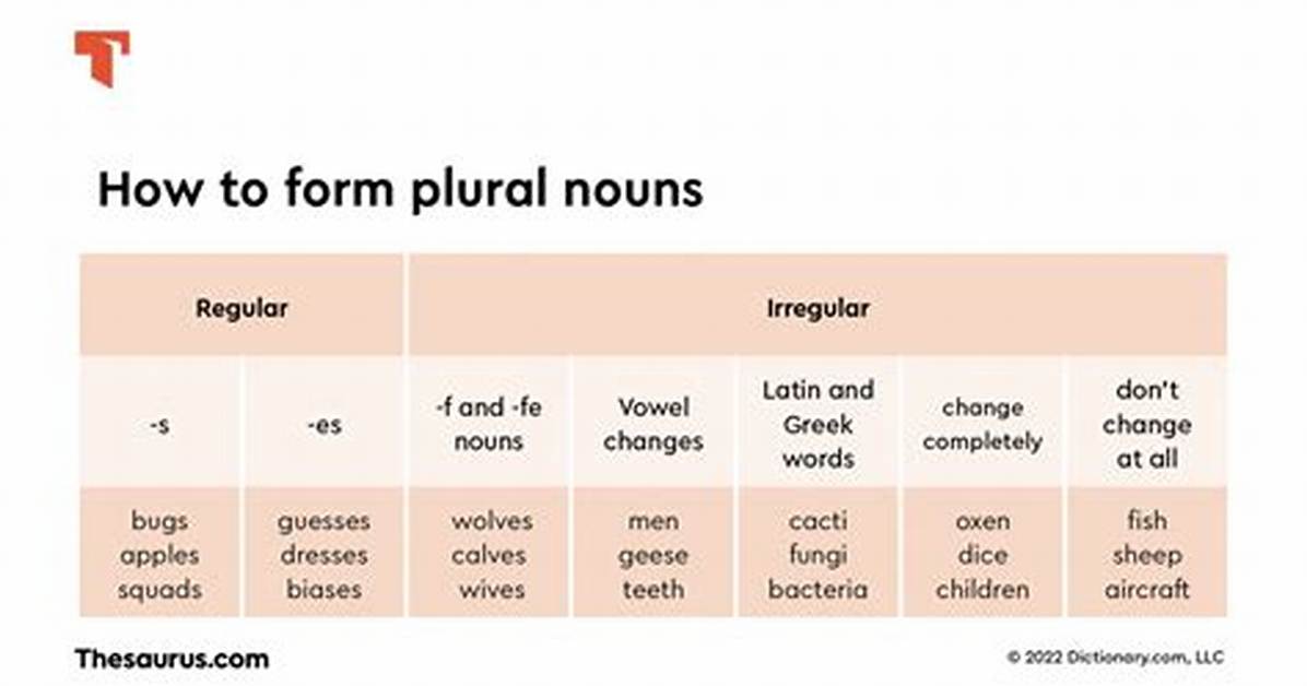 Does Terminology Have Plural?