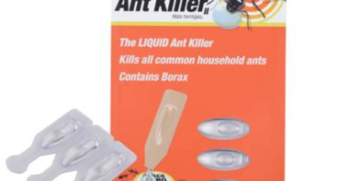 Does Terro Work for Carpenter Ants