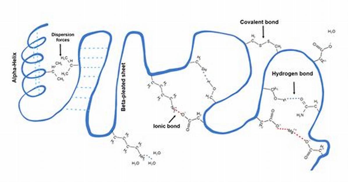 Does Tertiary Structure Have Hydrogen Bonds?