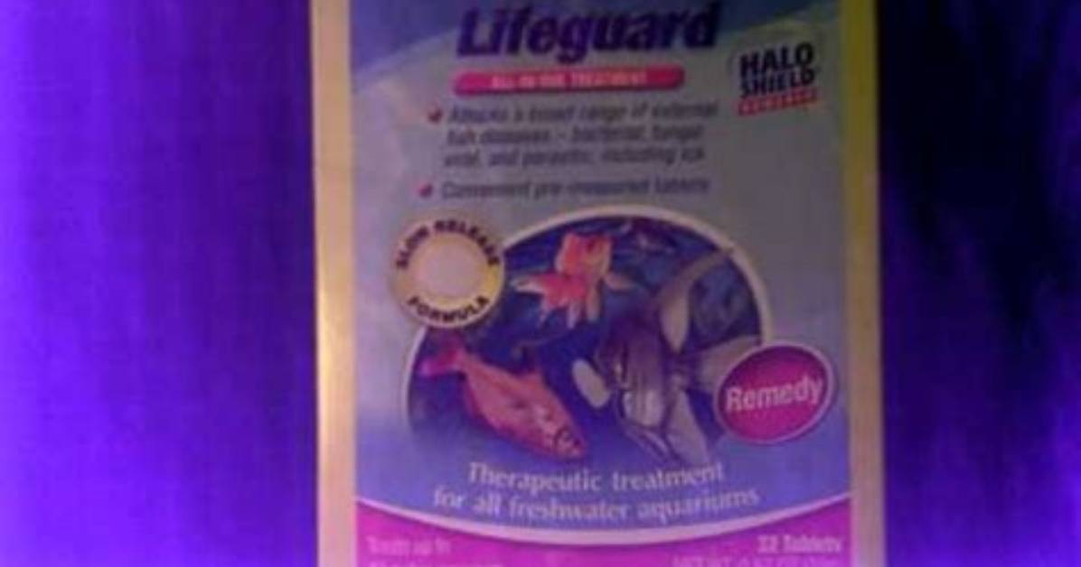 Does Tetra Lifeguard Kill Ich?