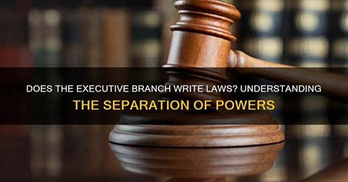 Does the Executive Branch Make Laws?
