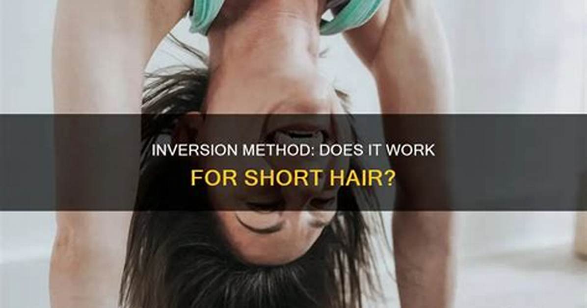 Does the Inversion Method Work?