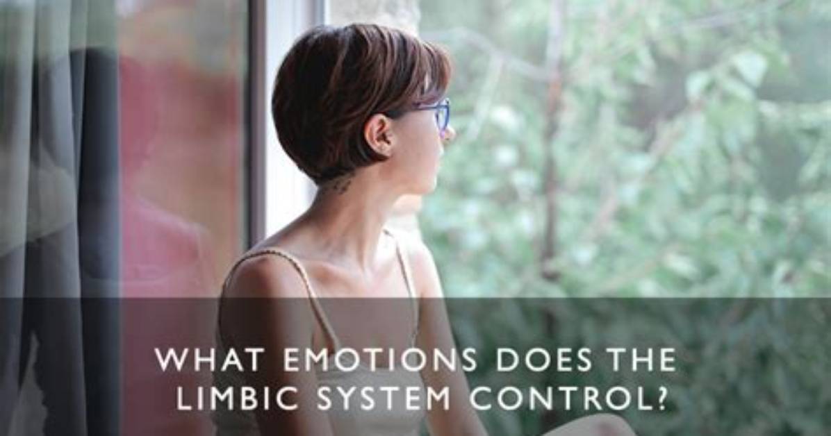 Does the Limbic System Control Your Emotions?