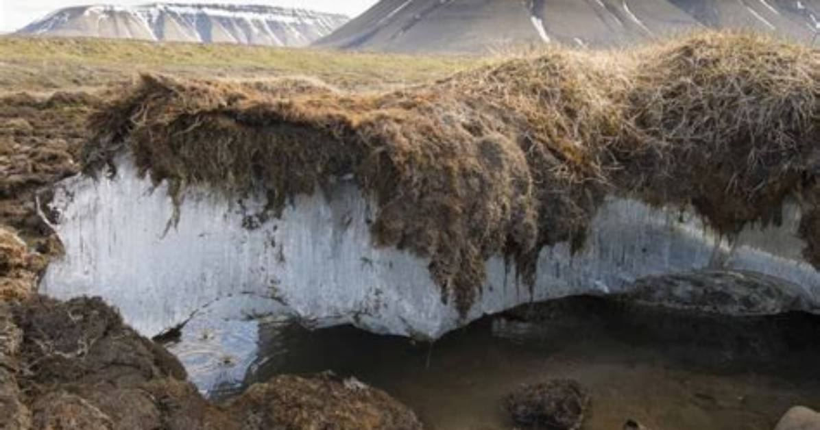 Does the Taiga Have Permafrost?