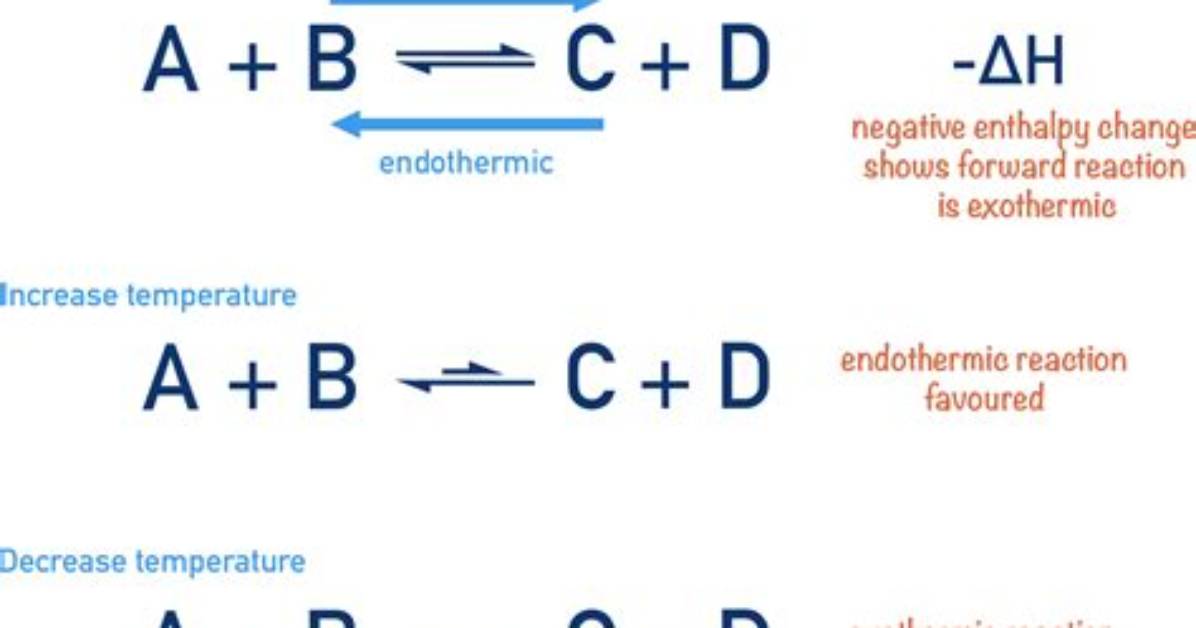 Does the Temperature Increase in an Endothermic Reaction?
