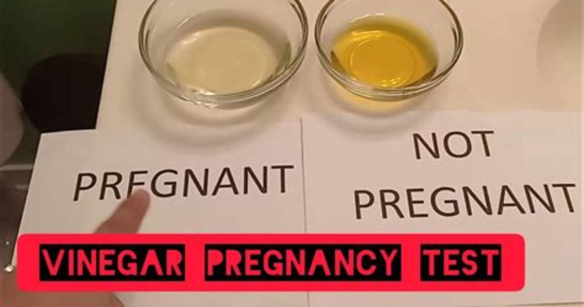 Does the Vinegar Pregnancy Test Work?