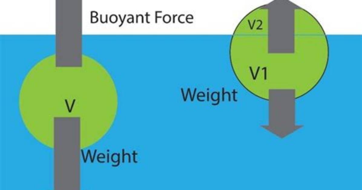 Does the Word Buoyant Mean?