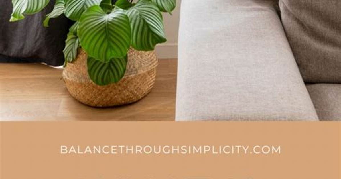 Does the Word Minimalism Mean?