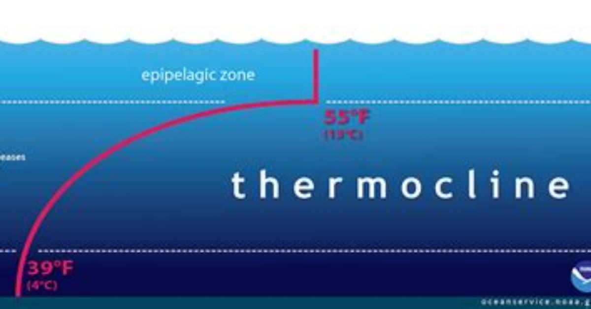 Does Thermocline Exist in Ocean?