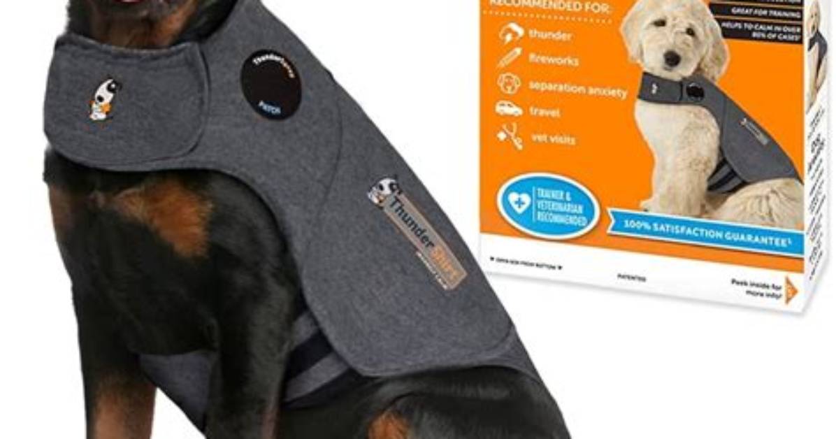 Does Thundershirt Really Work?
