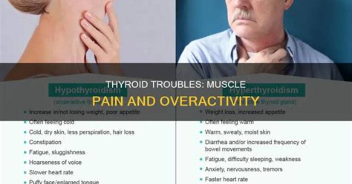Does Thyroid Cause Stomach Pain?
