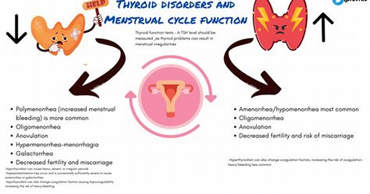Does Thyroid Medication Affect Menstrual Cycle?