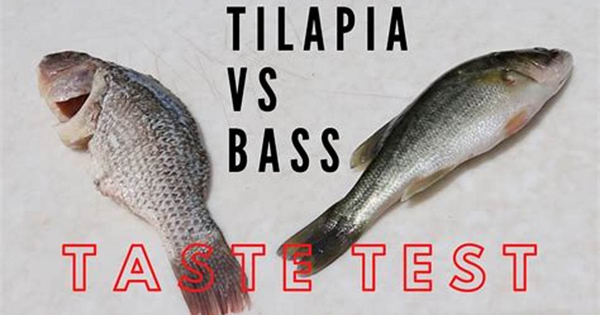 Does Tilapia Fish Taste Good