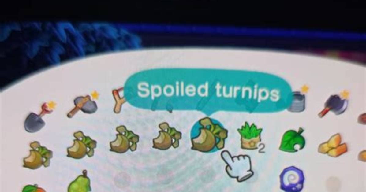 Does Time Travel Affect Turnips?
