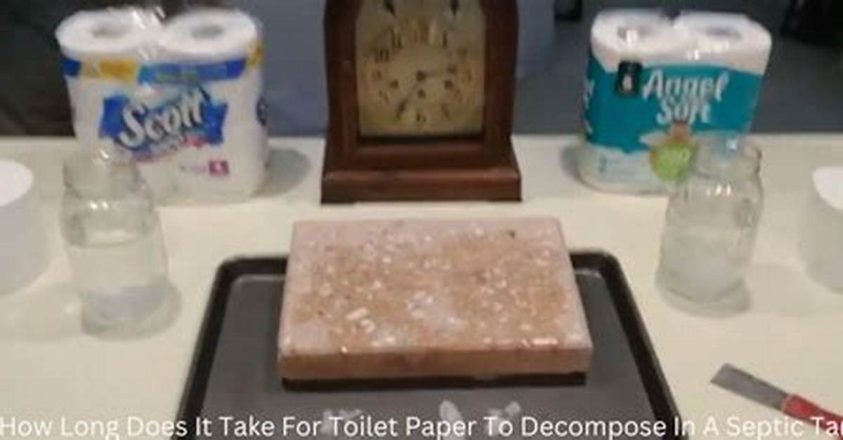 Does Toilet Paper Decompose?