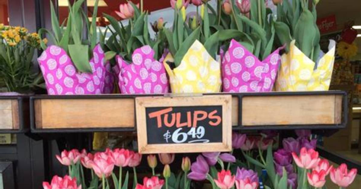 Does Trader Joes Have Tulips