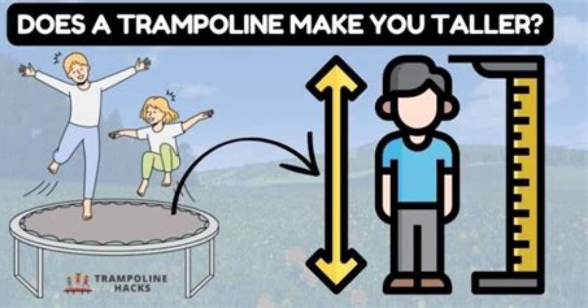 Does Trampoline Make You Taller?