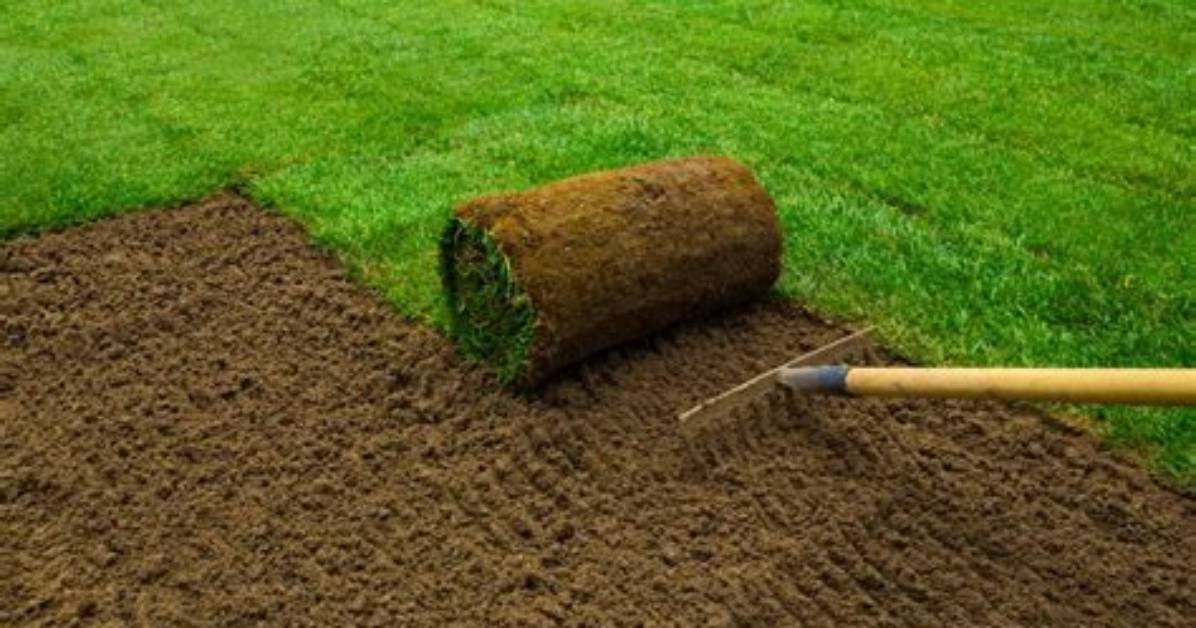 Does Turf Need Cutting?