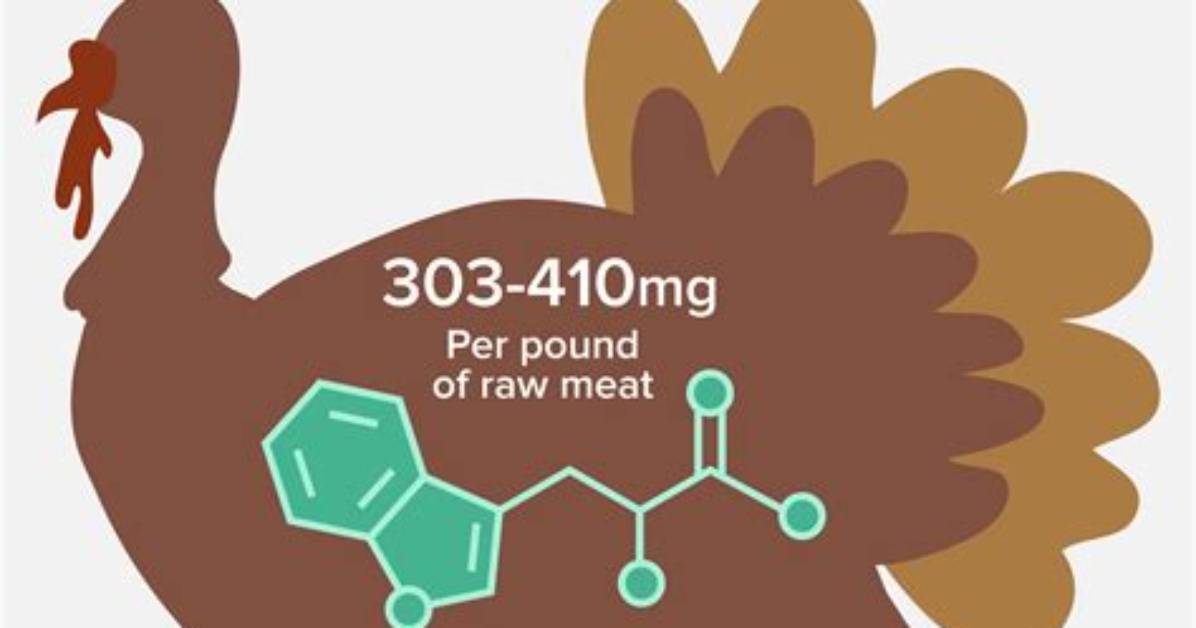 Does Turkey Make You Sleepy?