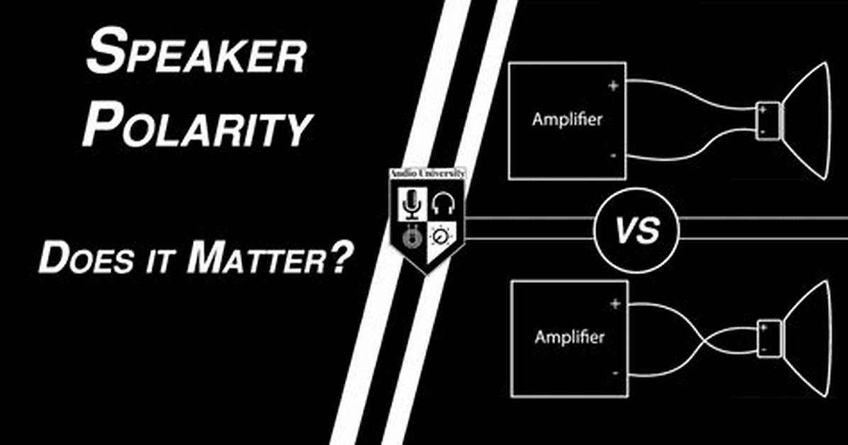 Does Tweeter Polarity Matter?