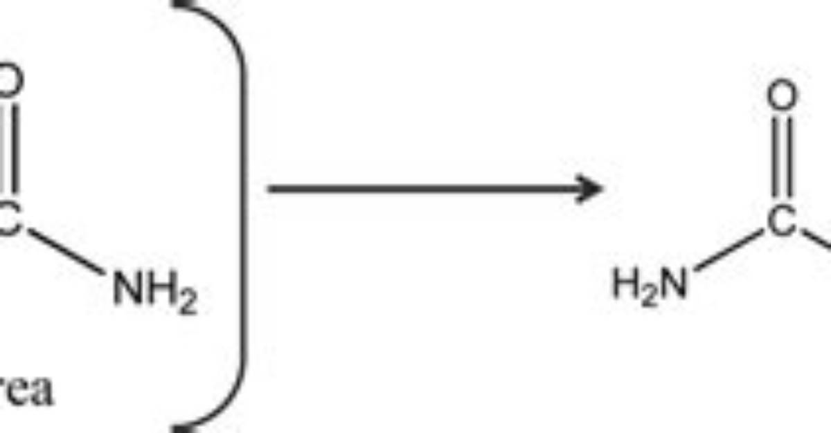 Does Urea Break Down into Ammonia?