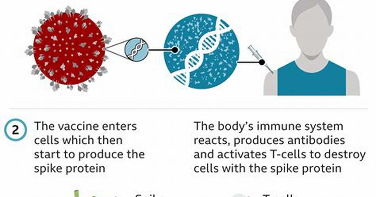 Does Vaccination Protect Against Variants?