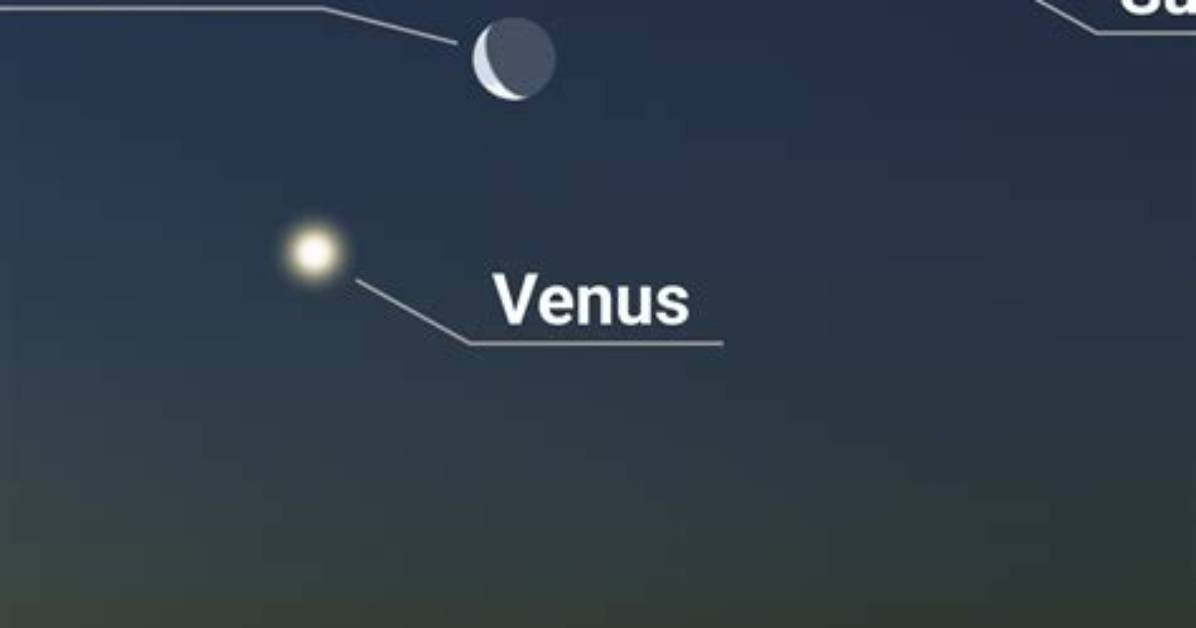 Does Venus Have Moon