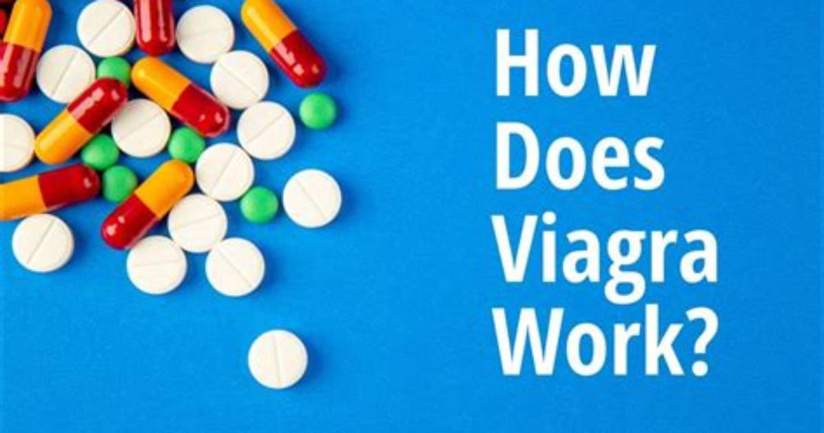Does Viagra Work Paraplegics?