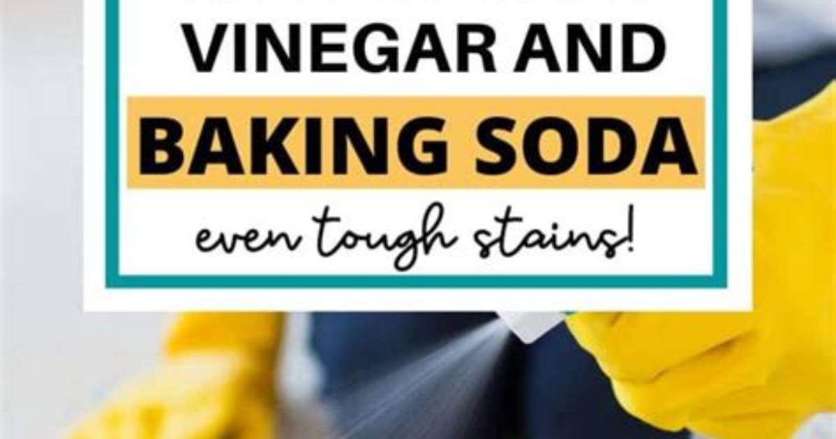 Does Vinegar and Baking Soda Clean Carpets