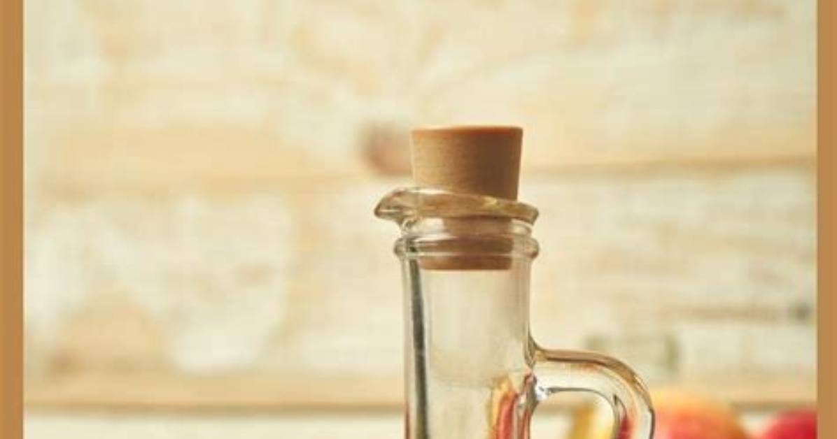 Does Vinegar Attract Gnats?