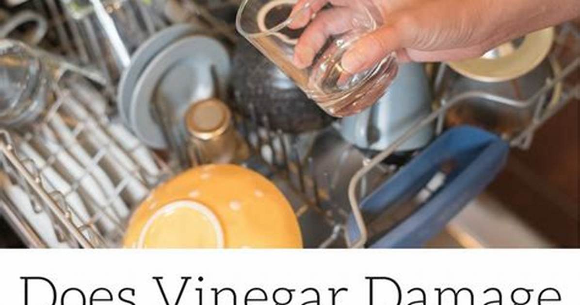 Does Vinegar Damage a Dishwasher?