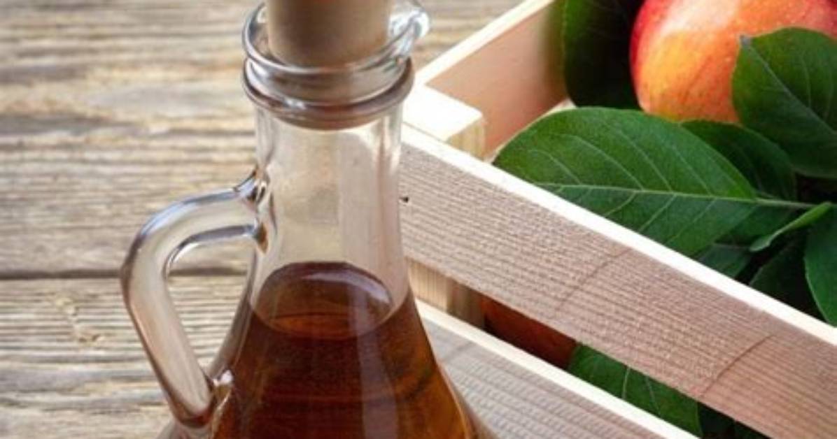 Does Vinegar Keep Gnats Away?
