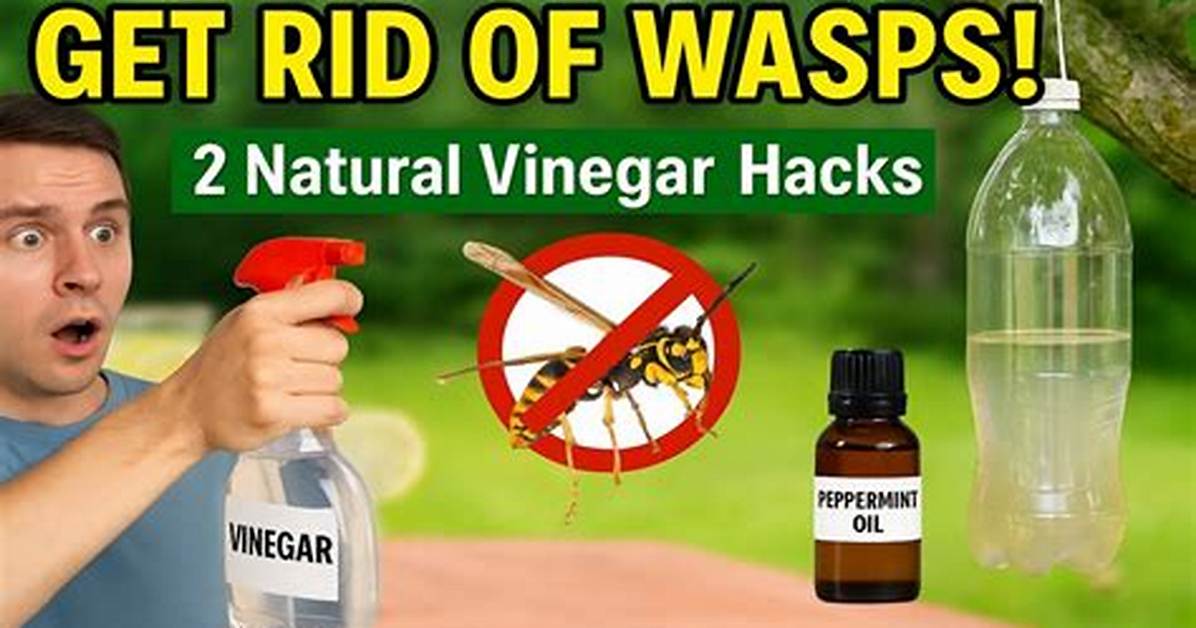 Does Vinegar Keep Wasps Away