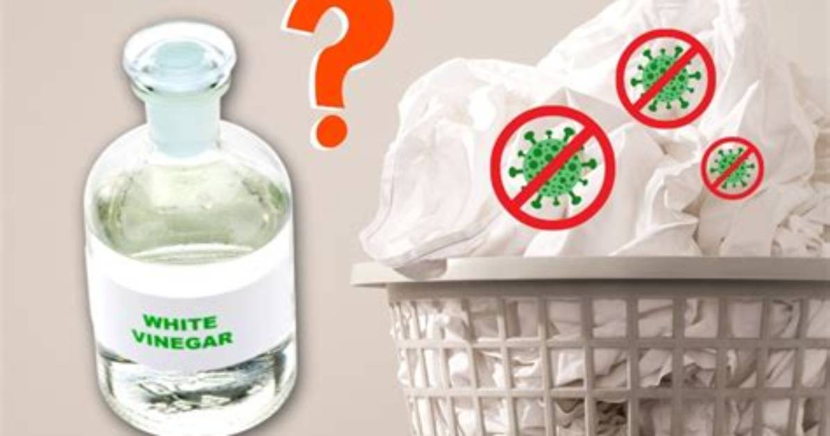 Does Vinegar Kill Salmonella