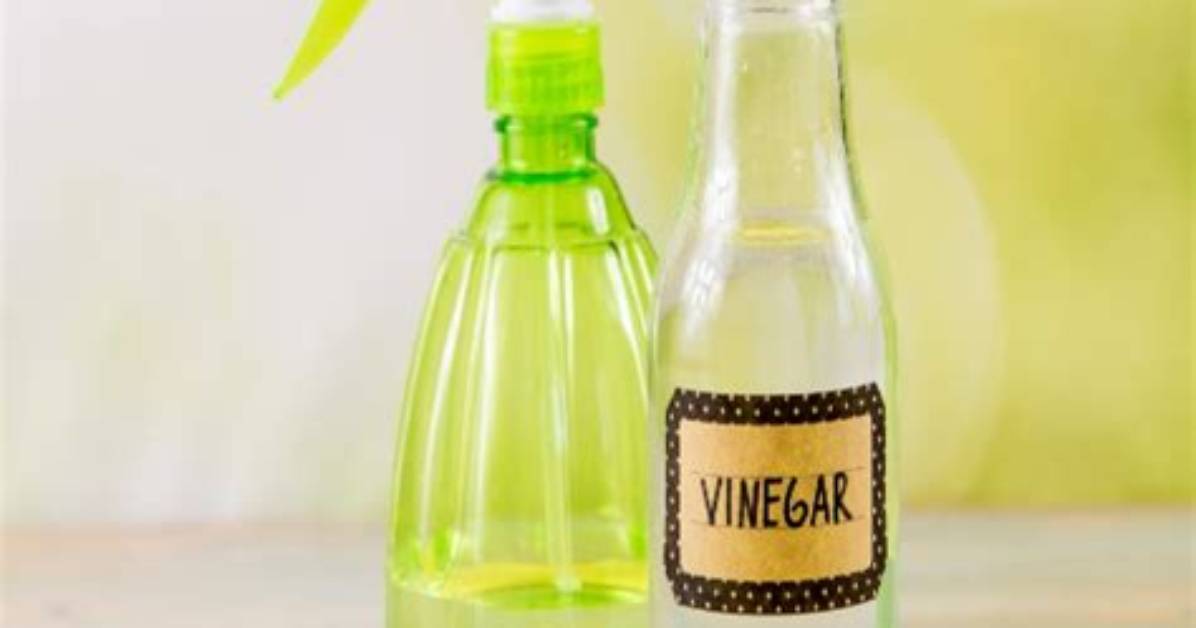 Does Vinegar Prevent Rust
