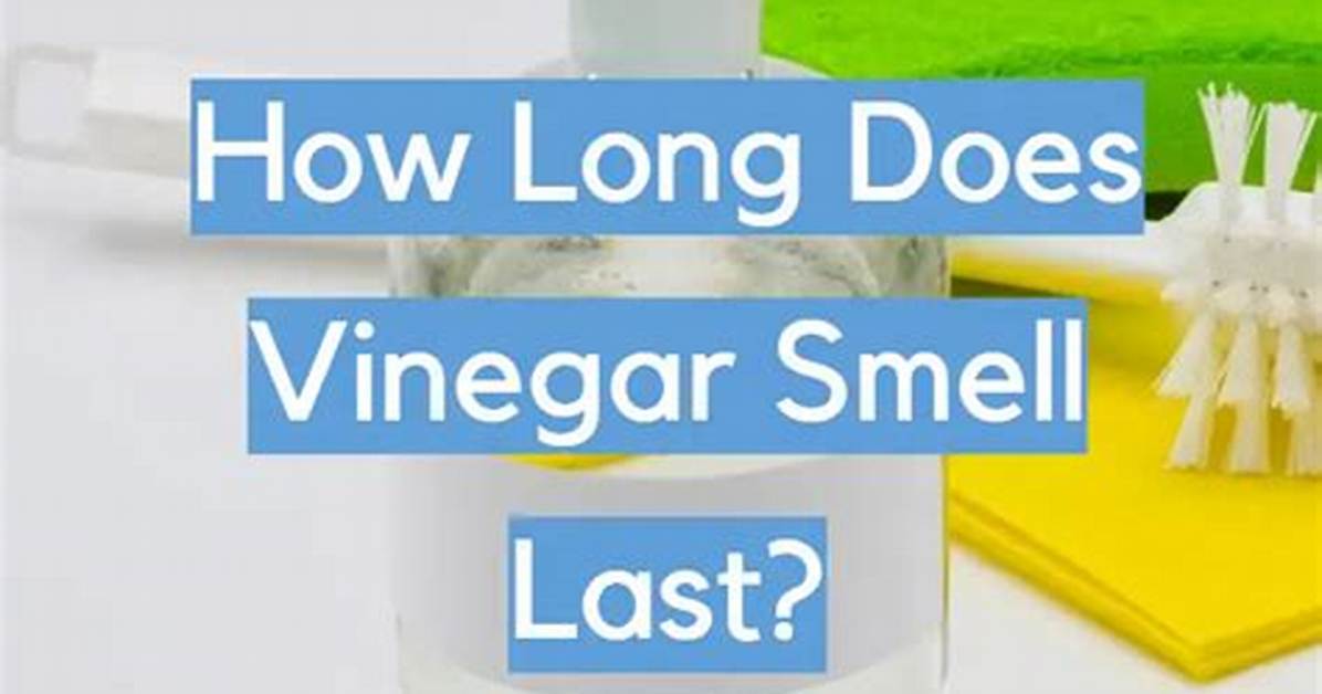Does Vinegar Smell Go Away After Drying?