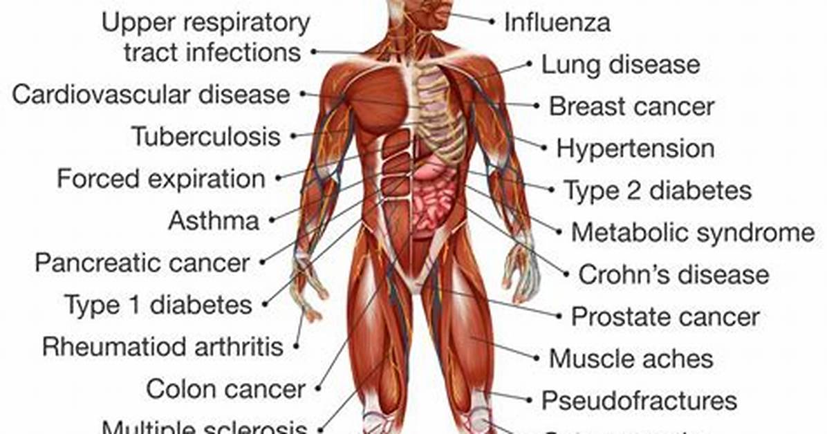 Does Vitamin D Help with Muscle Stiffness?