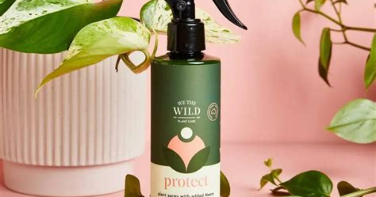 Does Vitrase Need to Be Diluted?