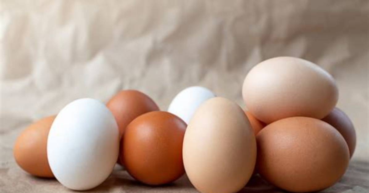 Does Wafers Have Eggs?