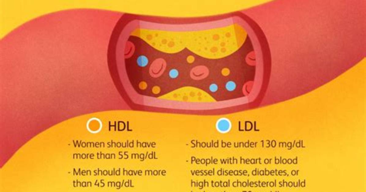 Does Walking Increase Hdl?