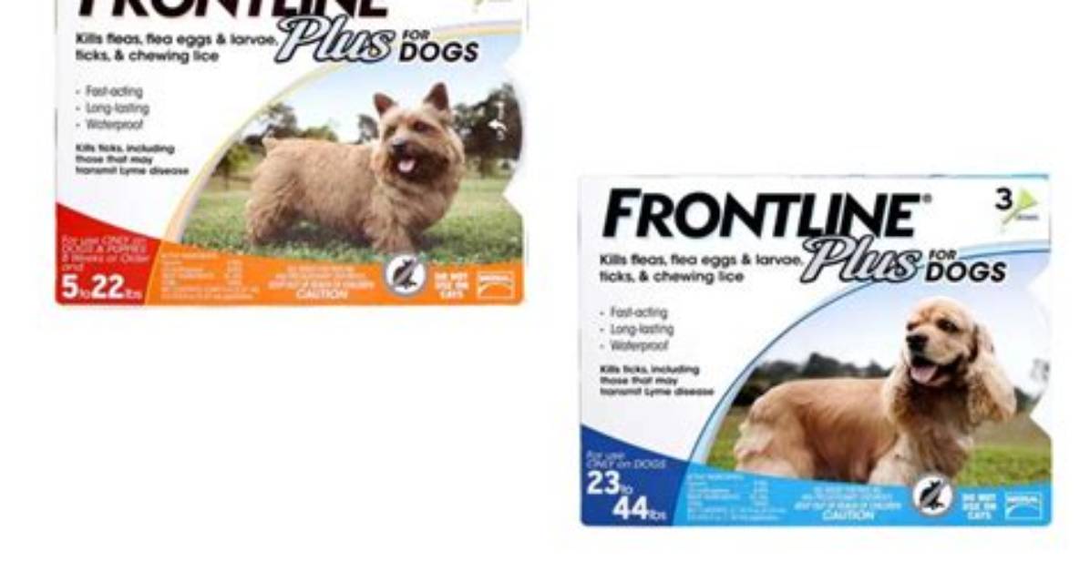 Does Walmart Carry Frontline for Cats