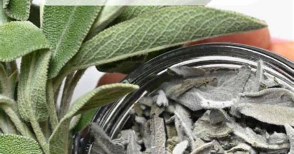 Does Walmart Sell Dry Sage